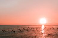 People on Beach during Sunset