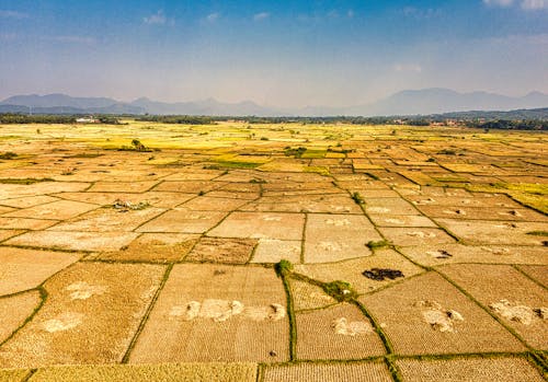 An Aerial Photography of Agricultural Land Under the Blue Sky