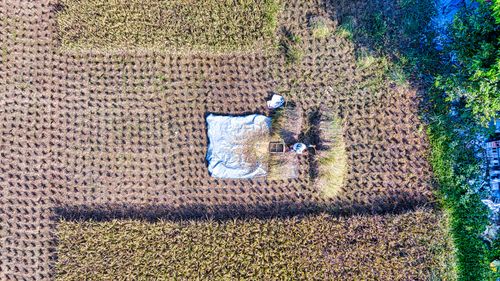 Free Drone shot capturing a rice field harvest in Purwakarta, Indonesia at daytime. Stock Photo