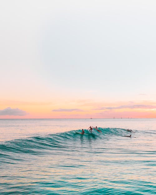 Free Surfers Catching Wave in Ocean Stock Photo