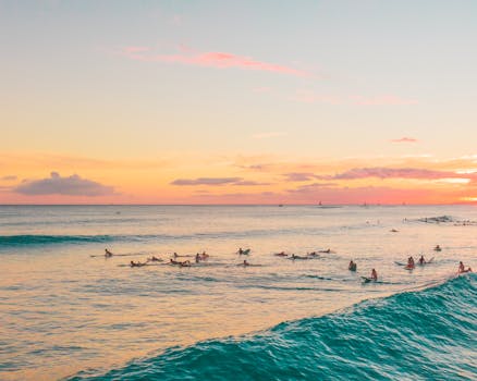 一群冲浪者在日落时分沿着海岸冲浪，景色充满活力