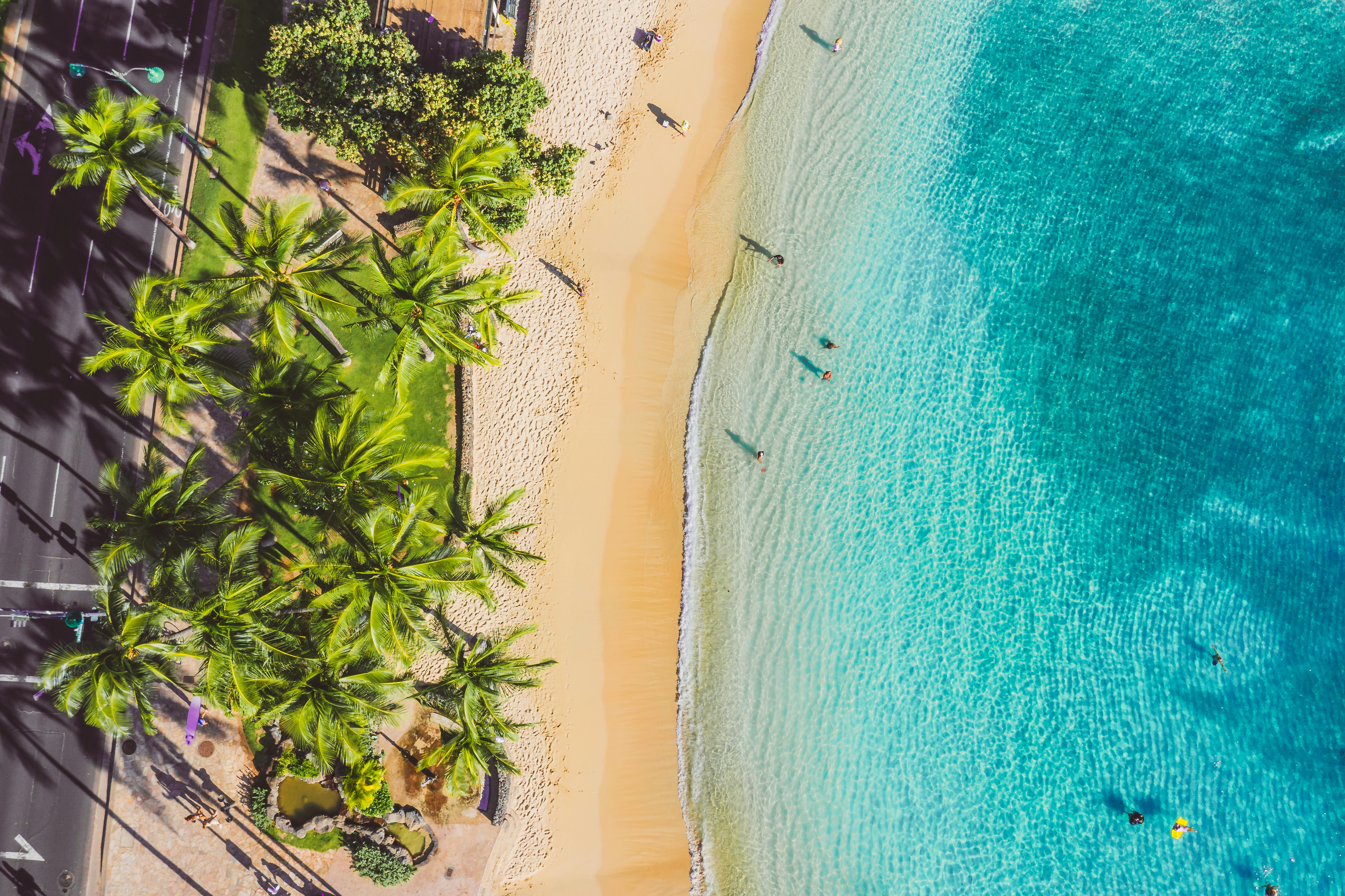从空中俯瞰，热带海滩景色令人惊叹，棕榈树繁茂，蔚蓝的海水清澈见底