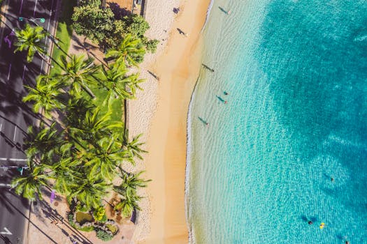 从空中俯瞰，热带海滩景色令人惊叹，棕榈树繁茂，蔚蓝的海水清澈见底