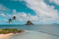 一个热带岛屿的壮丽景色，棕榈树，清澈的蓝色海水和头顶上的彩虹