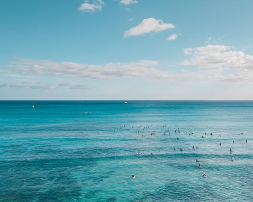 Aerial Photography of People Swimming on the Sea