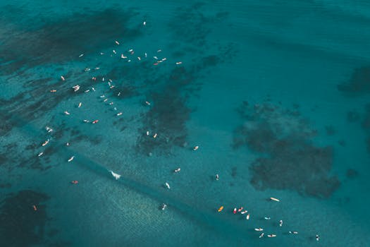 航拍照片中，冲浪者散布在清澈的蓝色海水里，展示了大自然的美丽