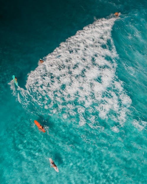Aerial View of People Surfing on Sea