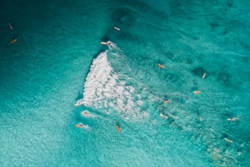 Aerial View of People Surfing on Sea