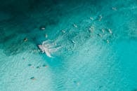 航拍镜头捕捉冲浪者在清澈碧绿的海水中冲浪，非常适合夏季度假