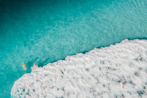 People Surfing on the Beach