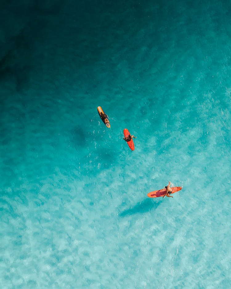 People Swimming On Boards In Ocean