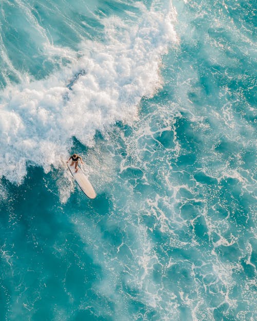 Immagine gratuita di commissione, estate, fare surf