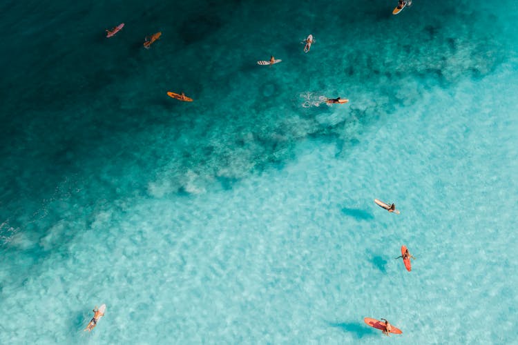 Surfers On Boards Swimming In Ocean