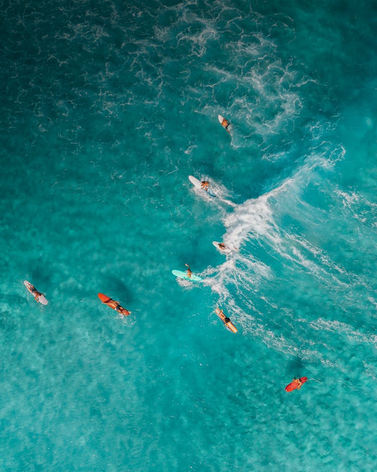 Surfers Around Wave