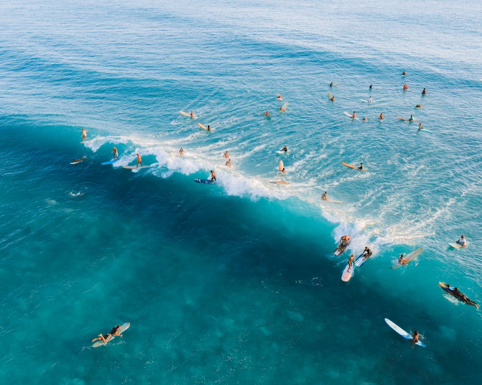 People Surfing on Sea