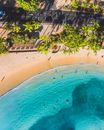 Sandy Beach with Palm Trees