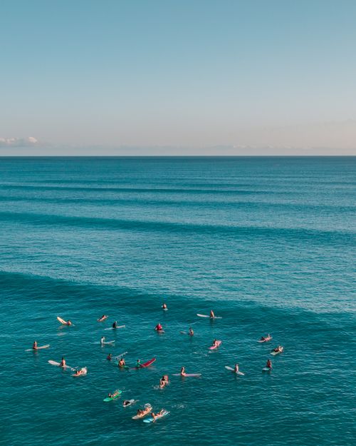 Free Group of surfers waiting for waves in a blue ocean on a clear summer day. Stock Photo