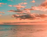 People Swimming in Ocean on Pink Sunset
