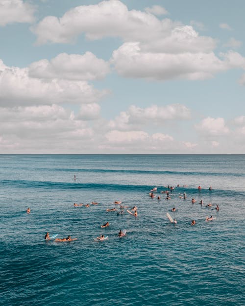 People Swimming in Sea