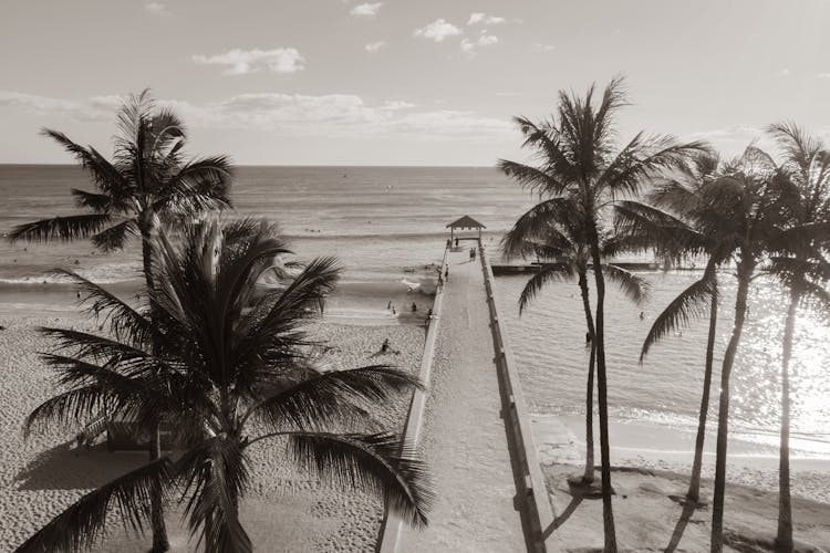 Beach Promenade Into Sea