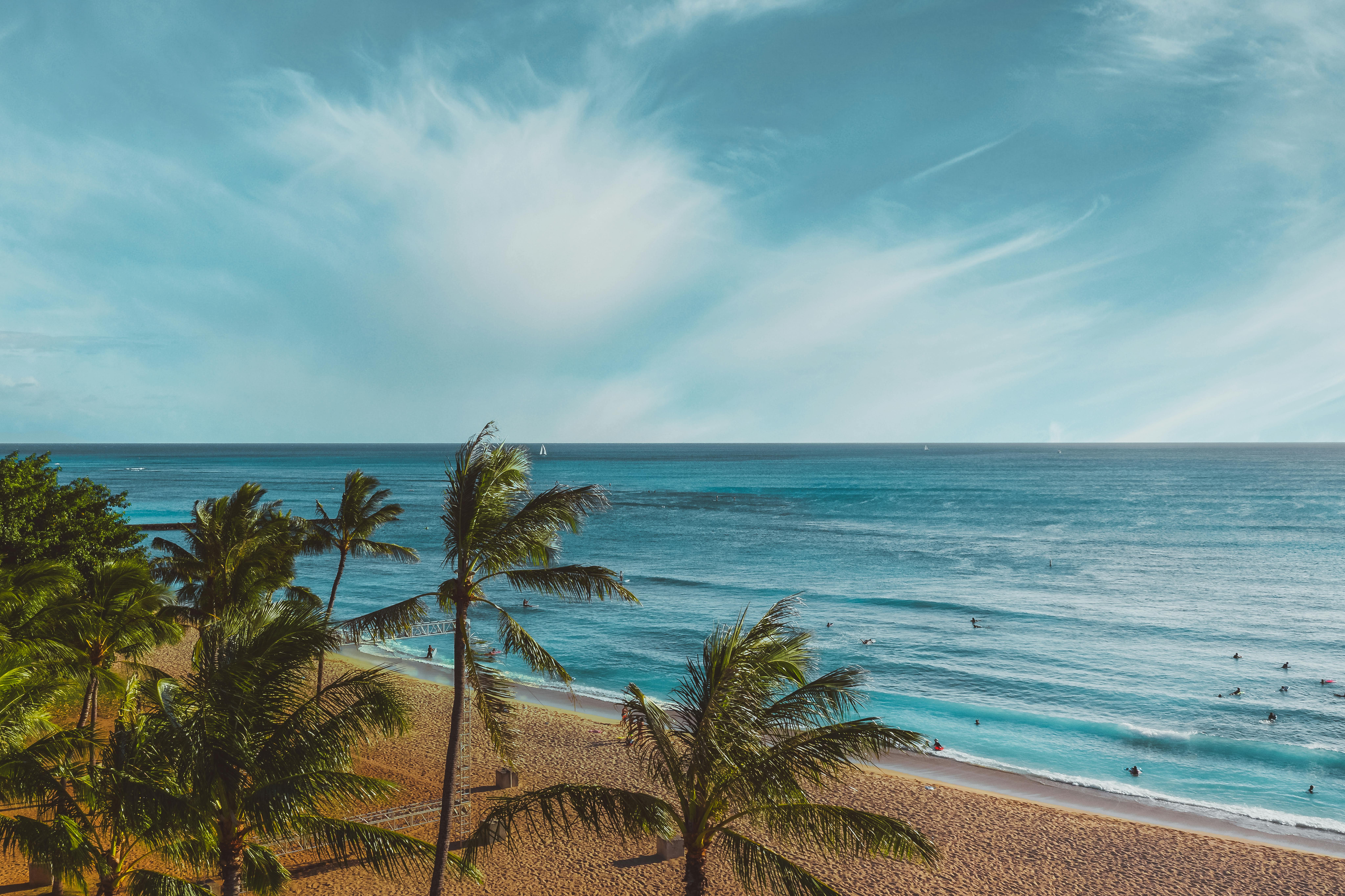 宁静的热带海滩上，棕榈树与清澈蔚蓝的大海绵延至地平线