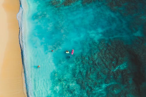 Free Drone Shot of a Turquoise Sea and a Beach  Stock Photo