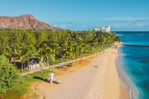 Sand Beach at Tropical Resort near Turquoise Ocean