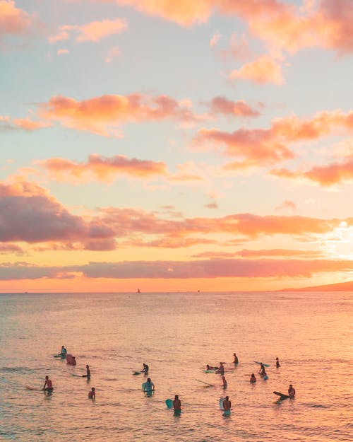 People Swimming and Surfing in the Sea at Sunset 