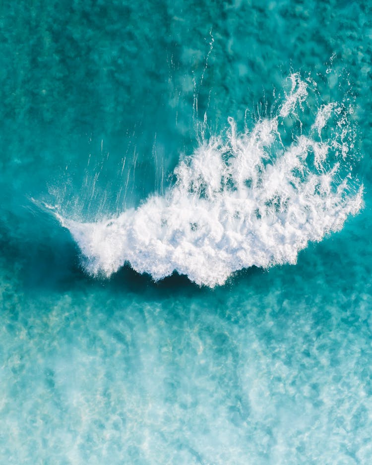 Wave Forming On Water Surf