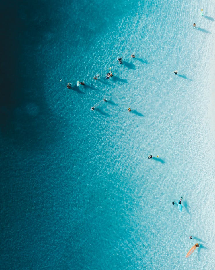 Top View Of Surfers With Boards In Turquoise Ocean