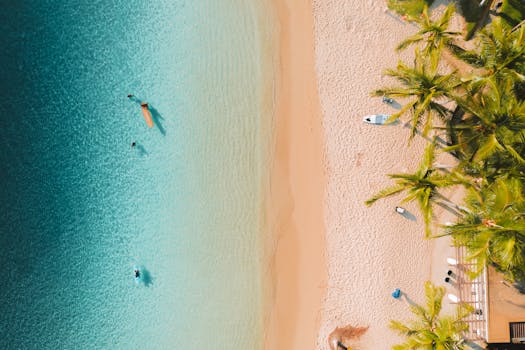 A stunning aerial shot of a tropical beach with clear blue water, lush palm trees, and sandy shores.