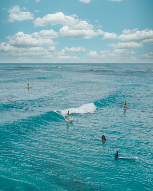 People Surfing in a Blue Sea 