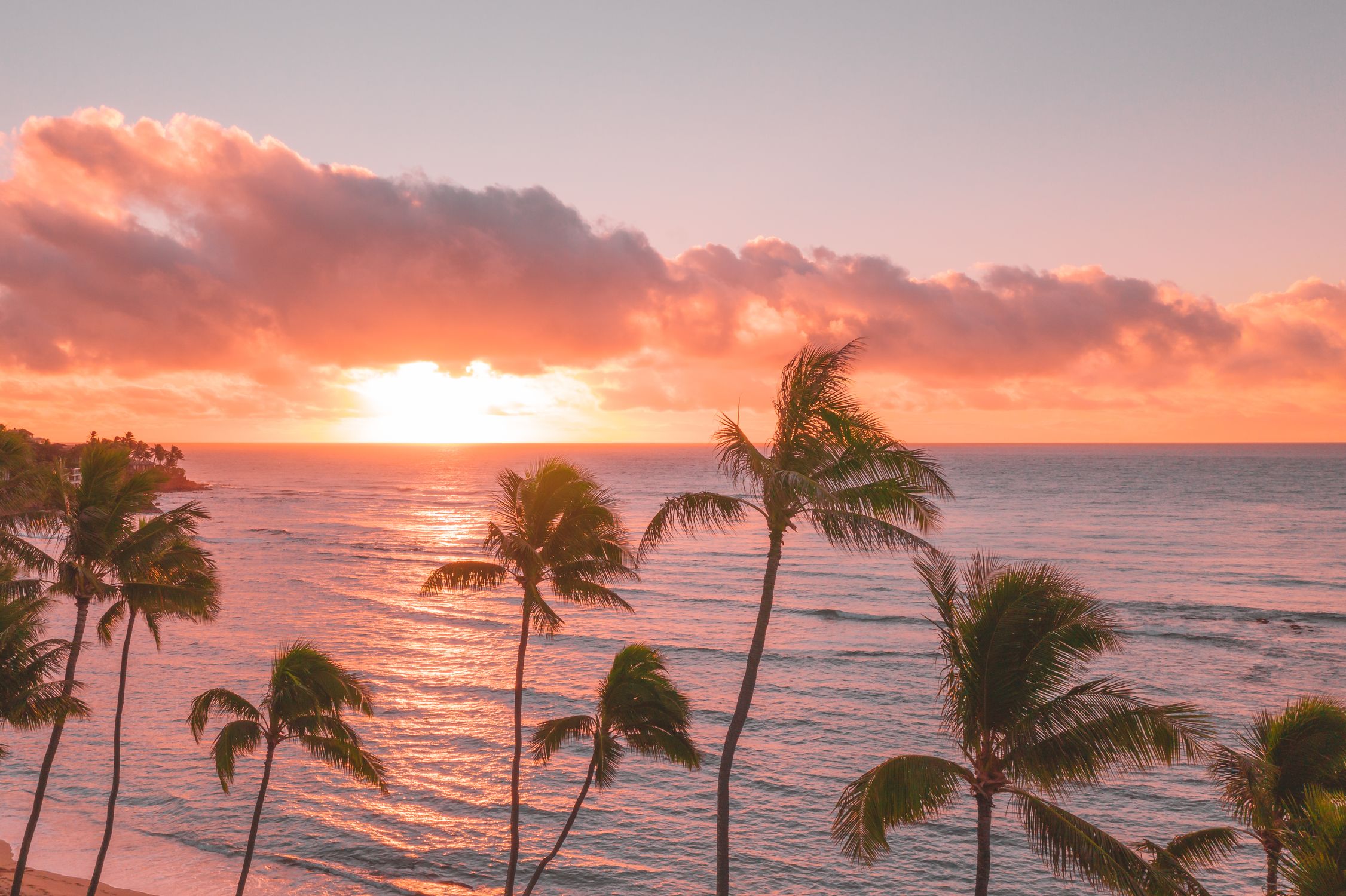 Palm Trees and Sea at a Beautiful Pink Sunset · Free Stock Photo