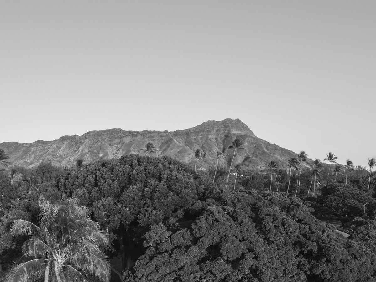 3 Day 1:1 Caregiver’s Cellular Recalibration in Maui, Hawaii 3