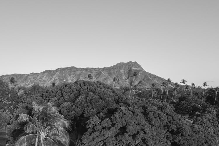 Diamond Head In Hawaii 