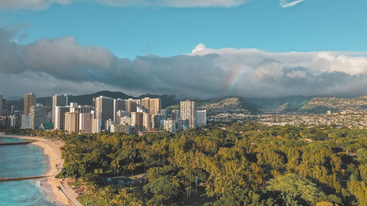 Top Honolulu, HI Pet Product Giveaways With No Purchase Necessary: Safe Entry Guide