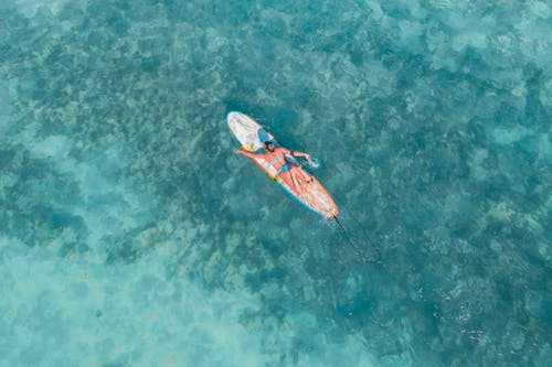 bikini, boş zaman, deniz içeren Ücretsiz stok fotoğraf