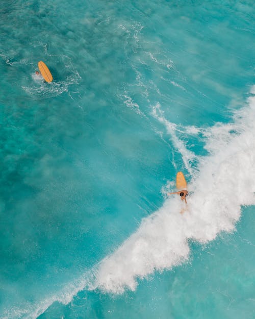 Top View of People Surfboarding in a Turquoise Sea
