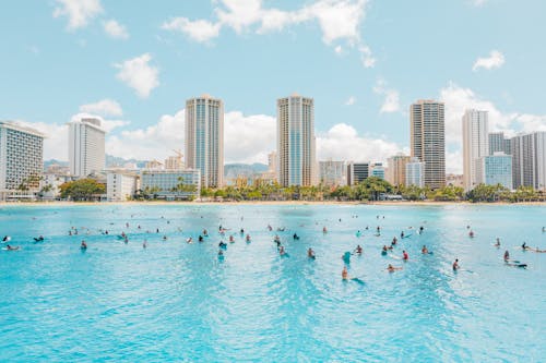 People Swimming on Beach Near High Rise Buildings