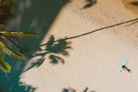 这是一张宁静的航拍照片，拍摄的是一名女子在热带海滩冲浪板旁放松身心，棕榈色