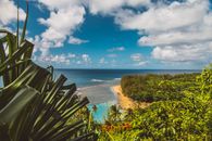 Tropical Forest near Turquoise Ocean