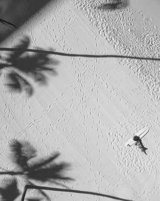 Black and white aerial shot of a woman lying near a surfboard on a sandy beach with palm shadows.