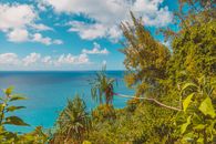 Lush Vegetation over Blue Sea