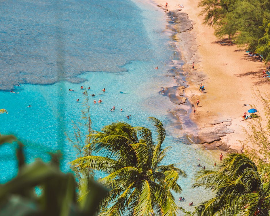 Free Tropical Beach with palm Trees Stock Photo