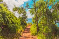 Path in Tropical Forest to Ocean