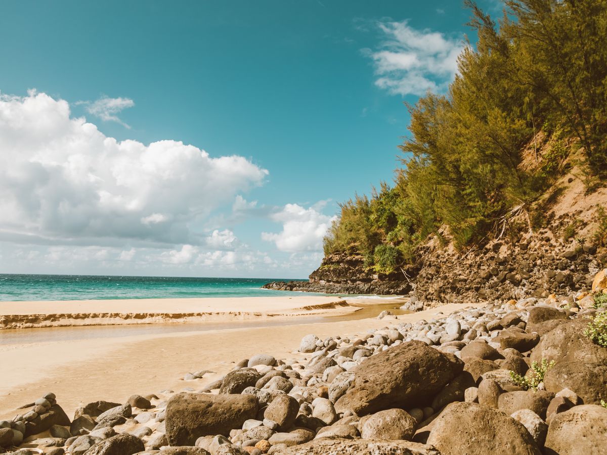 9 Day Sound Healing Level 1 to 4 Training in Hawaii 1