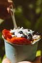 White Ice Cream With Black Berries and Strawberry on Top