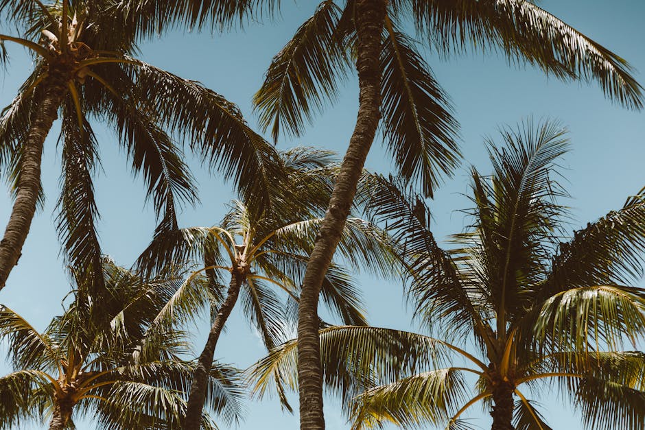 is desiccated coconut the same as coconut flakes