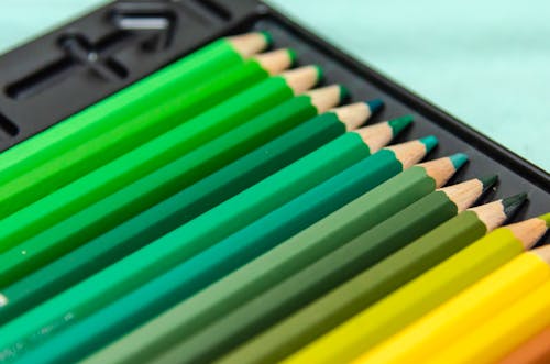 Colored Pencils in a Case