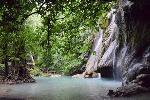 Waterfall in rocky ravine surrounded by green vegetation